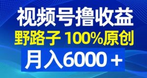 视频号野路子撸收益，100%原创，条条爆款，月入6000＋【揭秘】-虚拟资源库