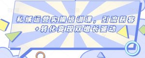 私域运营实操培训课，引流获客+转化变现双增长驱动-虚拟资源库