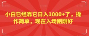 小白已经靠它日入1000+了，操作简单，现在入场刚刚好【揭秘】-虚拟资源库