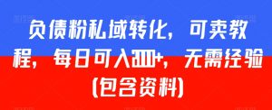 负债粉私域转化,可卖教程,每日可入2000+,无需经验(包含资料)【揭秘】-虚拟资源库