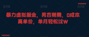 暴力虚拟掘金，男杏刚需，0成本高单价，单月轻松过W【揭秘】-虚拟资源库