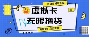虚拟卡无限撸货，百分百成功下车【仅揭秘】-虚拟资源库