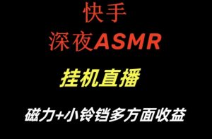 快手深夜ASMR挂机直播,磁力+小铃铛收益(附带工具和5G素材)【揭秘】-虚拟资源库