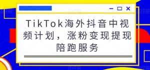TikTok海外抖音中视频计划,涨粉变现提现陪跑服务-虚拟资源库