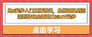 从0起步入门直播带货，​从搭团队到引流到转化全面助力GMV起步-虚拟资源库