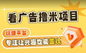 【海蓝项目】广告掘金日赚160+(附养机教程)长期稳定,收益妙到【揭秘】-虚拟资源库