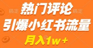 热门评论引爆小红书流量，作品制作简单，商单接到手软【揭秘】-虚拟资源库