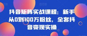 抖音矩阵实战课程:新手从0到100万粉丝,全套抖音变现实操-虚拟资源库