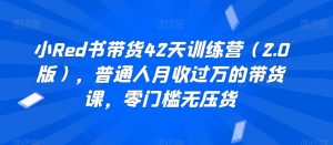 小Red书带货42天训练营（2.0版），普通人月收过万的带货课，零门槛无压货-虚拟资源库