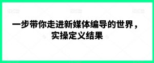 一步带你走进新媒体编导的世界，实操定义结果-虚拟资源库