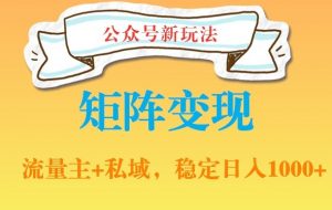 公众号软件玩法私域引流网盘拉新,多种变现,稳定日入1000【揭秘】-虚拟资源库