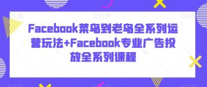 Facebook菜鸟到老鸟全系列运营玩法+Facebook专业广告投放全系列课程-虚拟资源库