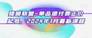 臻曦联盟-单品微付费正价起号，2024年1月最新课程-虚拟资源库