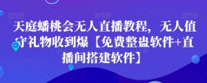 天庭蟠桃会无人直播教程，无人值守礼物收到爆【免费整蛊软件+直播间搭建软件】-虚拟资源库