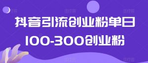 抖音引流创业粉单日100-300创业粉【揭秘】-虚拟资源库