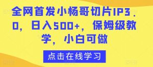 全网首发小杨哥切片IP3.0,日入500+,保姆级教学,小白可做【揭秘】-虚拟资源库