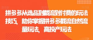 拼多多从选品到截流到付费的玩法技巧，助你掌握拼多多截流自然流量玩法，高投产玩法-虚拟资源库