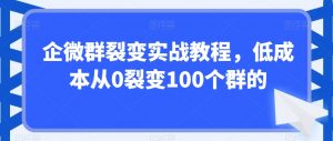 企微群裂变实战教程,低成本从0裂变100个群的-虚拟资源库