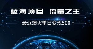 好评返现项目，稳定，小白速学月入过万【仅揭秘】-虚拟资源库