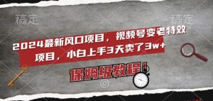 2024最新风口项目，视频号变老特效项目，电脑小白上手3天卖了3w+，保姆级教程【揭秘】-虚拟资源库