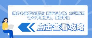 拼多多运营不理想？新手不会做？​15节系列课+2节直播课，直接掌握-虚拟资源库