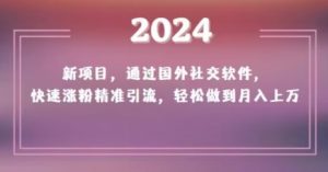 2024新项目,通过国外社交软件,快速涨粉精准引流,轻松做到月入上万【揭秘】-虚拟资源库