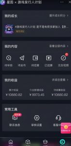 游戏发行人计划最新玩法，单条变现10000+，小白无脑掌握【揭秘】-虚拟资源库