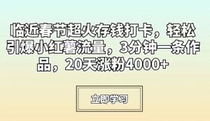 临近春节超火存钱打卡，轻松引爆小红薯流量，3分钟一条作品，20天涨粉4000+【揭秘】-虚拟资源库