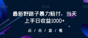 最新野路子暴力赔付,当天上手日收益1000+【仅揭秘】-虚拟资源库