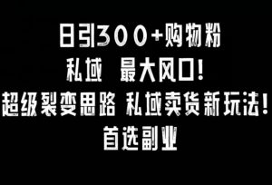 日引300+购物粉，超级裂变思路，私域卖货新玩法，小红书首选副业【揭秘】-虚拟资源库