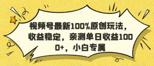 视频号最新100%原创玩法,收益稳定,亲测单日收益1000+,小白专属【揭秘】-虚拟资源库