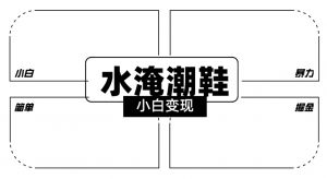 2024全新冷门水淹潮鞋无人直播玩法，小白也能轻松上手，打爆私域流量，轻松实现变现【揭秘】-虚拟资源库