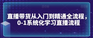 直播带货从入门到精通全流程,0-1系统化学习直播流程-虚拟资源库