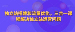 独立站搭建和流量优化,三合一课程解决独立站运营问题-虚拟资源库