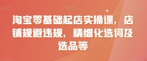 淘宝零基础起店实操课，店铺规避违规，精细化选词及选品等-虚拟资源库
