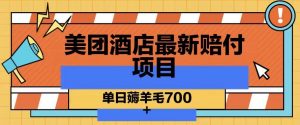 美团酒店最新赔付项目,单日薅羊毛700+【仅揭秘】-虚拟资源库