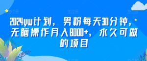 2024yw计划,男粉每天30分钟,无脑操作月入8000+,永久可做的项目【揭秘】-虚拟资源库