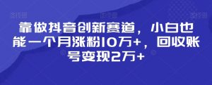 靠做抖音创新赛道,小白也能一个月涨粉10万+,回收账号变现2万+【揭秘】-虚拟资源库
