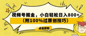 视频号掘金，小白轻松日入800+（附100%过原创技巧）【揭秘】-虚拟资源库
