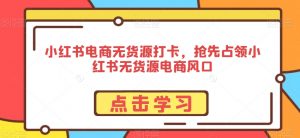 小红书电商无货源打卡，抢先占领小红书无货源电商风口-虚拟资源库