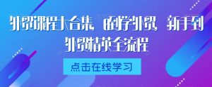 外贸课程大合集,0到1学外贸,新手到外贸精英全流程-虚拟资源库