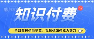 2024最新知识付费项目，小白也能轻松入局，全网都在教你做项目，我教你做镰刀【揭秘】-虚拟资源库