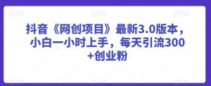 抖音《网创项目》最新3.0版本，小白一小时上手，每天引流300+创业粉【揭秘】-虚拟资源库