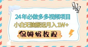 人人都能操作的蓝海多多视频带货项目，小白无脑搬运月入10000+【揭秘】-虚拟资源库