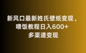 新风口最新姓氏壁纸变现,喂饭教程日入600+【揭秘】-虚拟资源库
