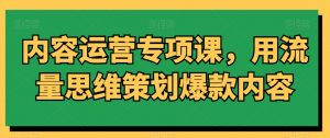 内容运营专项课，用流量思维策划爆款内容-虚拟资源库