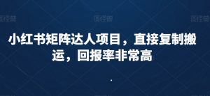 小红书矩阵达人项目,直接复制搬运,回报率非常高-虚拟资源库