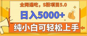 男粉项目5.0,最新野路子,纯小白可操作,有手就行,无脑照抄,纯保姆教学【揭秘】-虚拟资源库