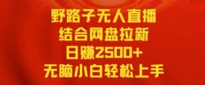 野路子无人直播结合网盘拉新，日赚2500+，小白无脑轻松上手【揭秘】-虚拟资源库