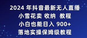2024年抖音最新无人直播小雪花卖收纳教程,小白也能日入900+落地实操保姆级教程【揭秘】-虚拟资源库